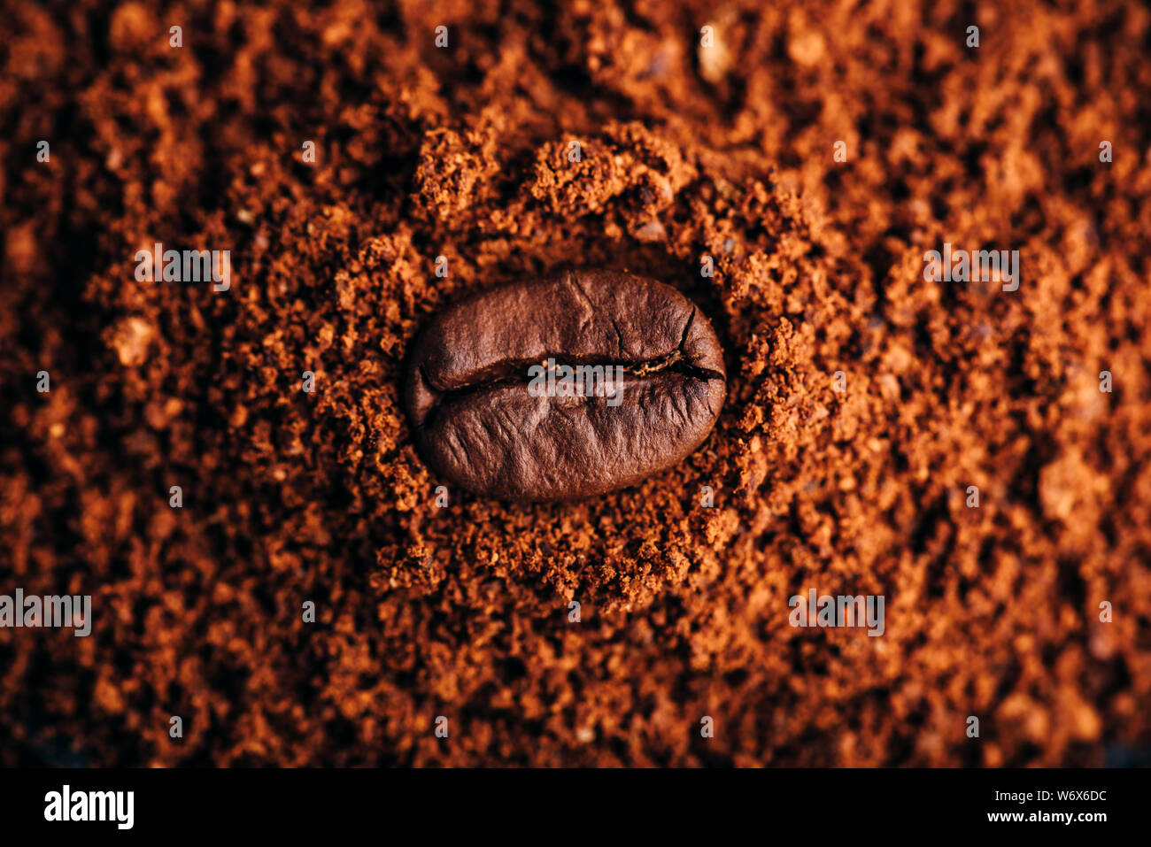 Carni arrosto di chicco di caffè getta sul mucchio di caffè macinato Foto Stock