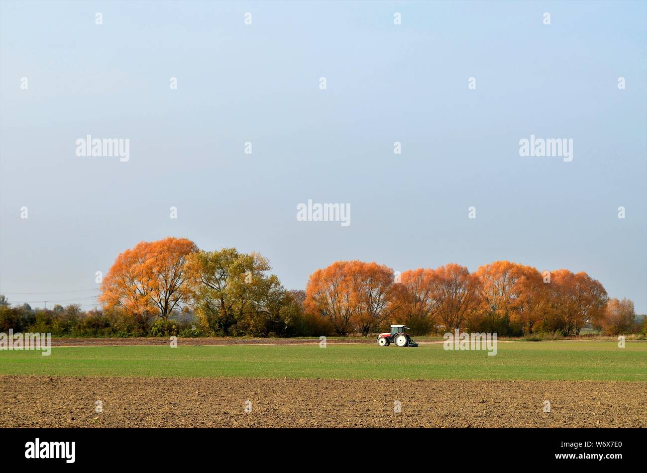Un trattore su un pezzo di terra nel lato del paese in Germania in autunno Foto Stock