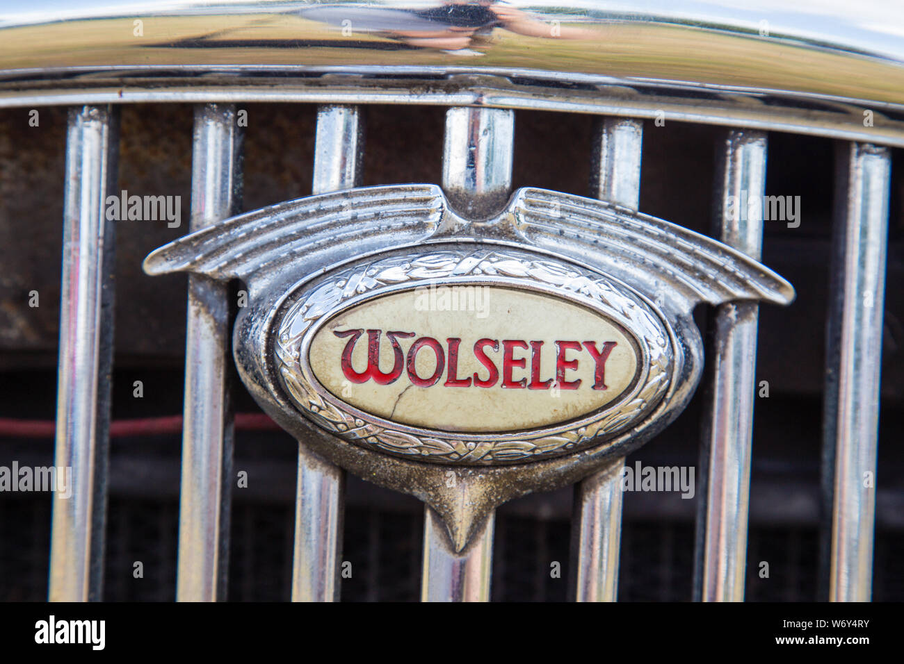 Vintage Wolseley badge auto Foto Stock