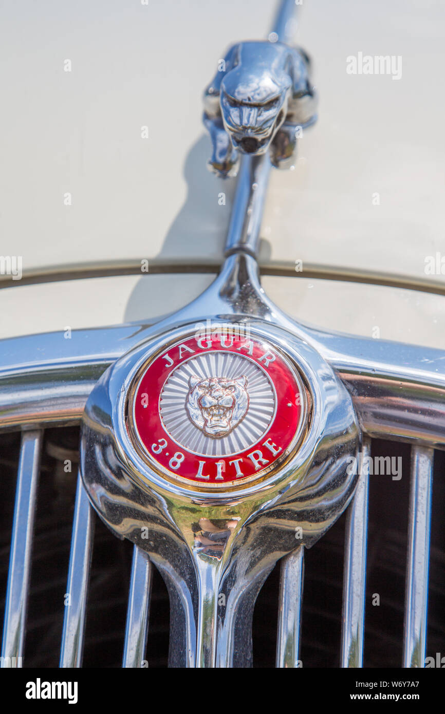 Vintage Jaguar Mark 2 3.8 litri badge auto Foto Stock
