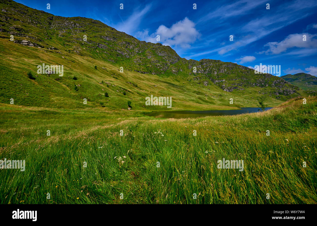 Loch Restil (INVC2) Foto Stock
