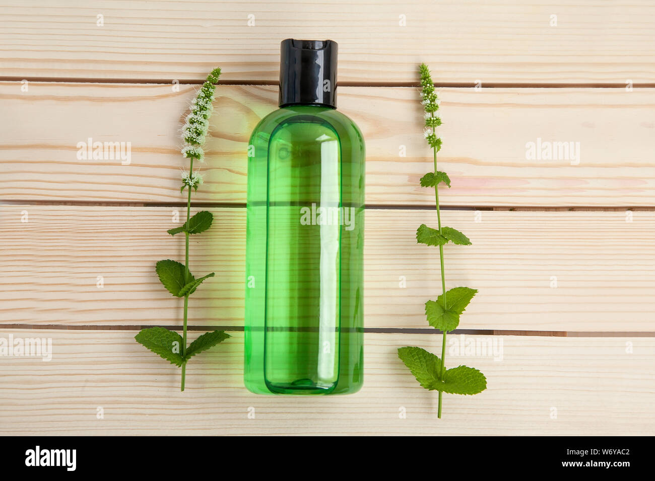 Uno verde bottiglia di shampoo di menta piperita e menta fresca di brunch su sfondo di legno. Cura dei capelli concetto. Vista dall'alto. Foto Stock