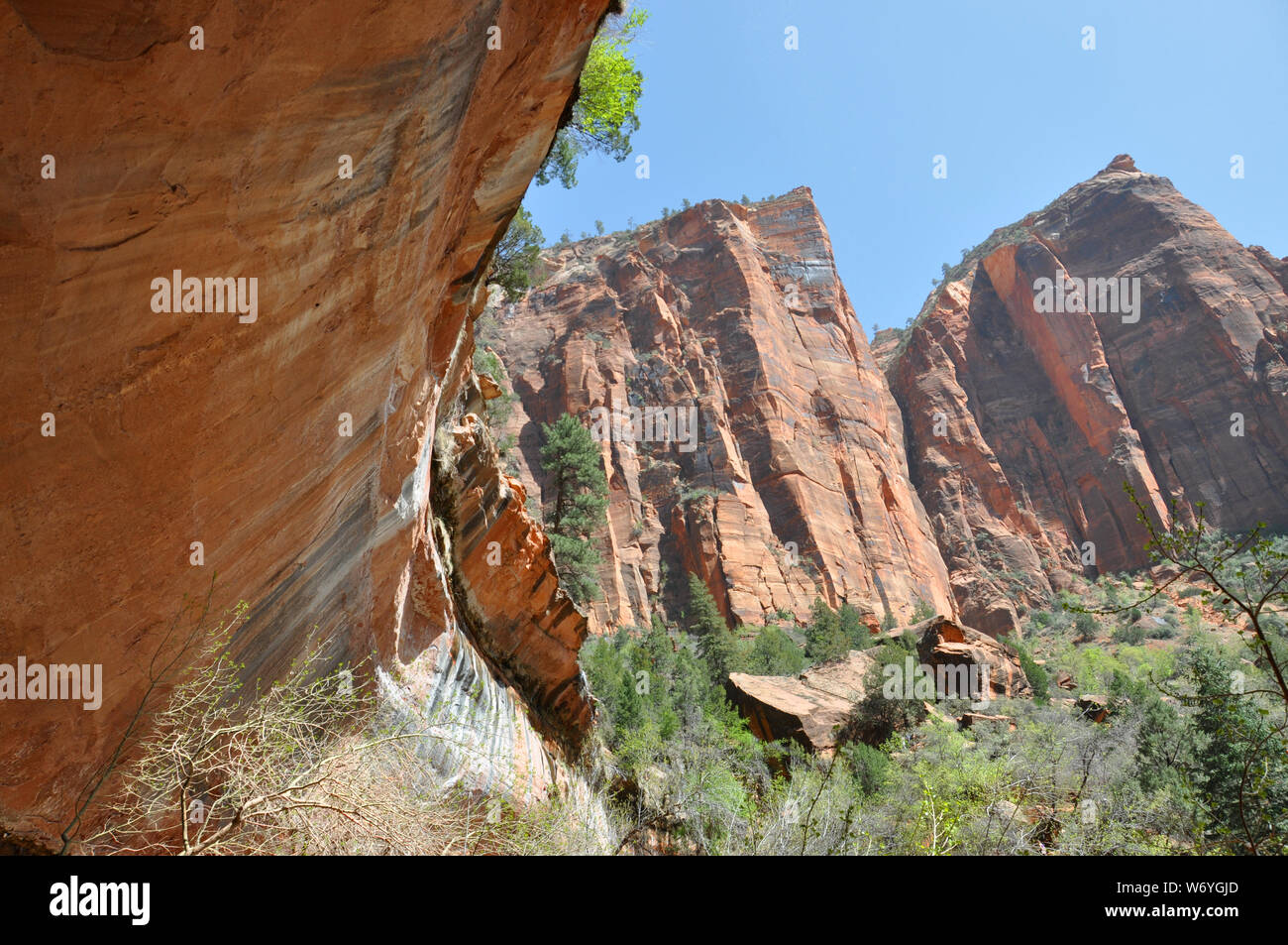 Canyon Zion nationalpark utah Foto Stock