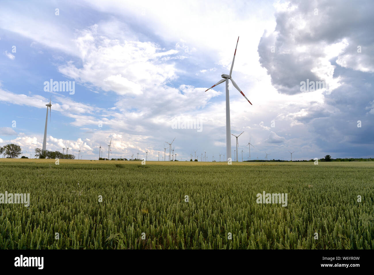 Le energie rinnovabili - la generazione di energia elettrica con le turbine eoliche in una fattoria eolica Foto Stock