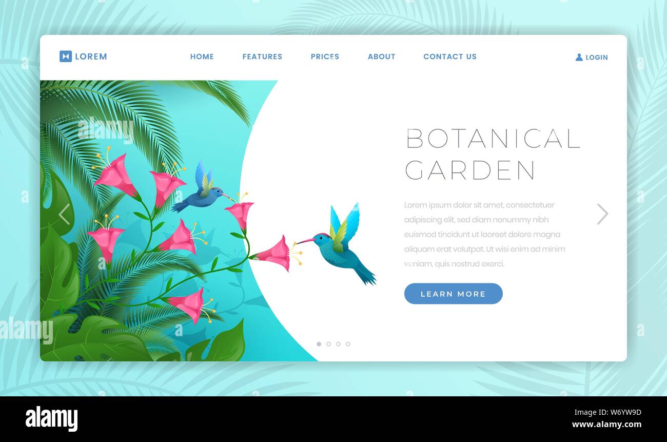 Giardino botanico di atterraggio del vettore il modello di pagina. Guardando exotic rare specie di flora e fauna, tropicali colibrì nella natura selvaggia. Estate attrazione turistica sito web pagina layout di progettazione Illustrazione Vettoriale