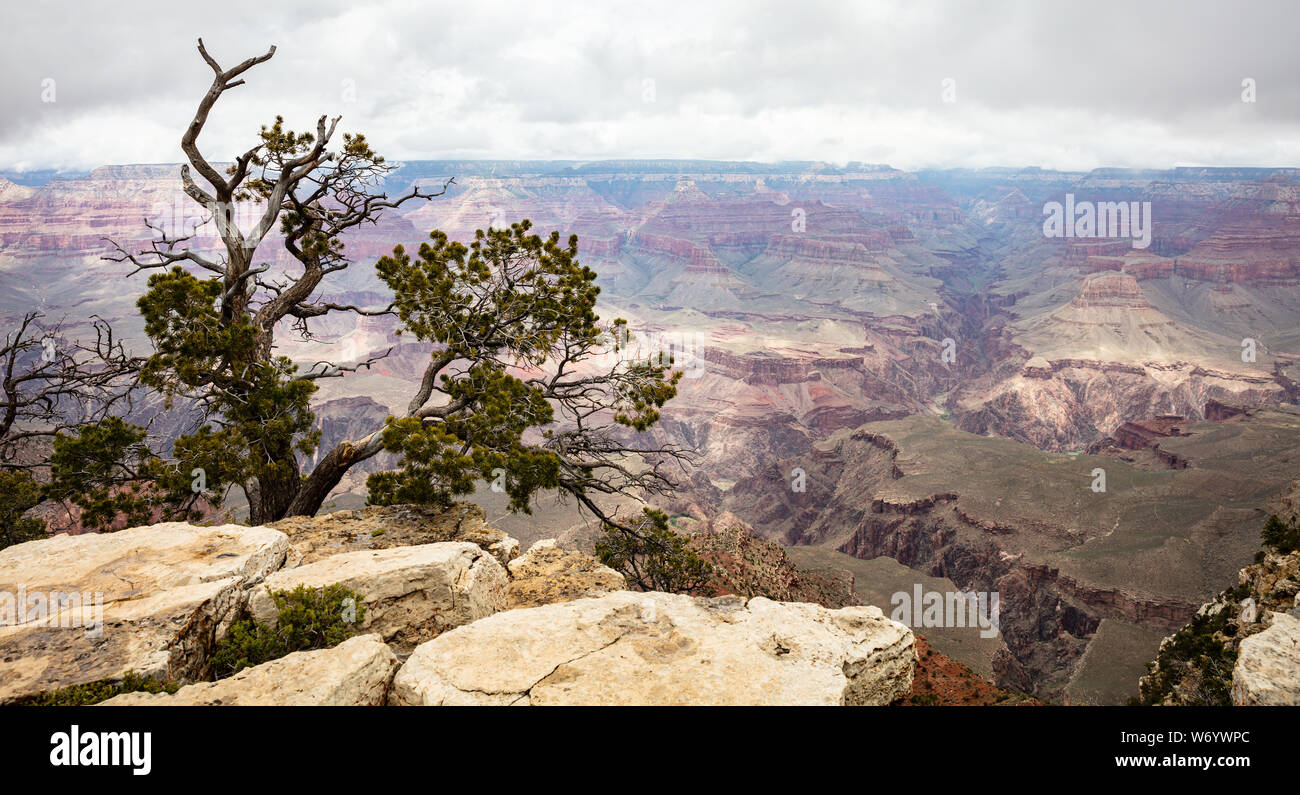 Parco Nazionale del Grand Canyon, Arizona, Stati Uniti. Si affacciano su delle rocce rosse, sfondo con cielo nuvoloso Foto Stock