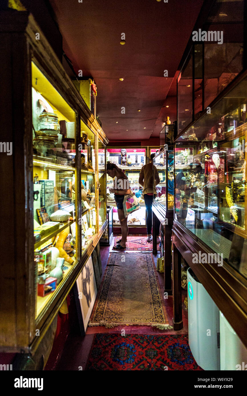 Viktor Wynd Museo delle Curiosità e martedì scorso la società di Londra, Regno Unito Foto Stock
