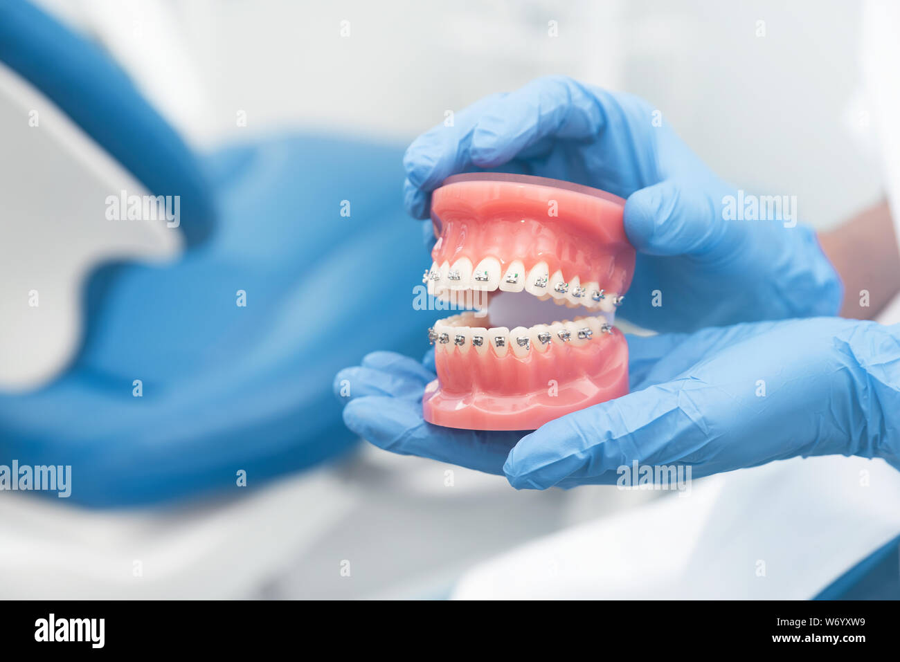 Dentista azienda modello a ganascia. Odontoiatria, cure odontoiatriche, denti sani, ortodonzia concept Foto Stock