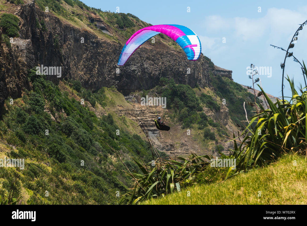 Il parapendio. Volo sopra Muriwai Beach, area di Auckland, Isola del nord della Nuova Zelanda Foto Stock