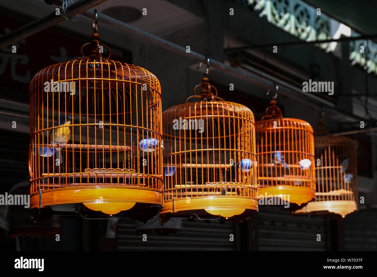 Il bambù bird gabbie a Yuen Po Street Bird Garden di Mong Kok, Hong Kong Foto Stock
