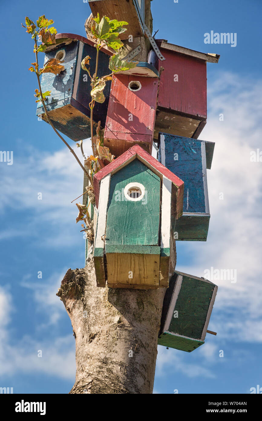 Colorate case di uccelli su un tronco di albero Foto Stock