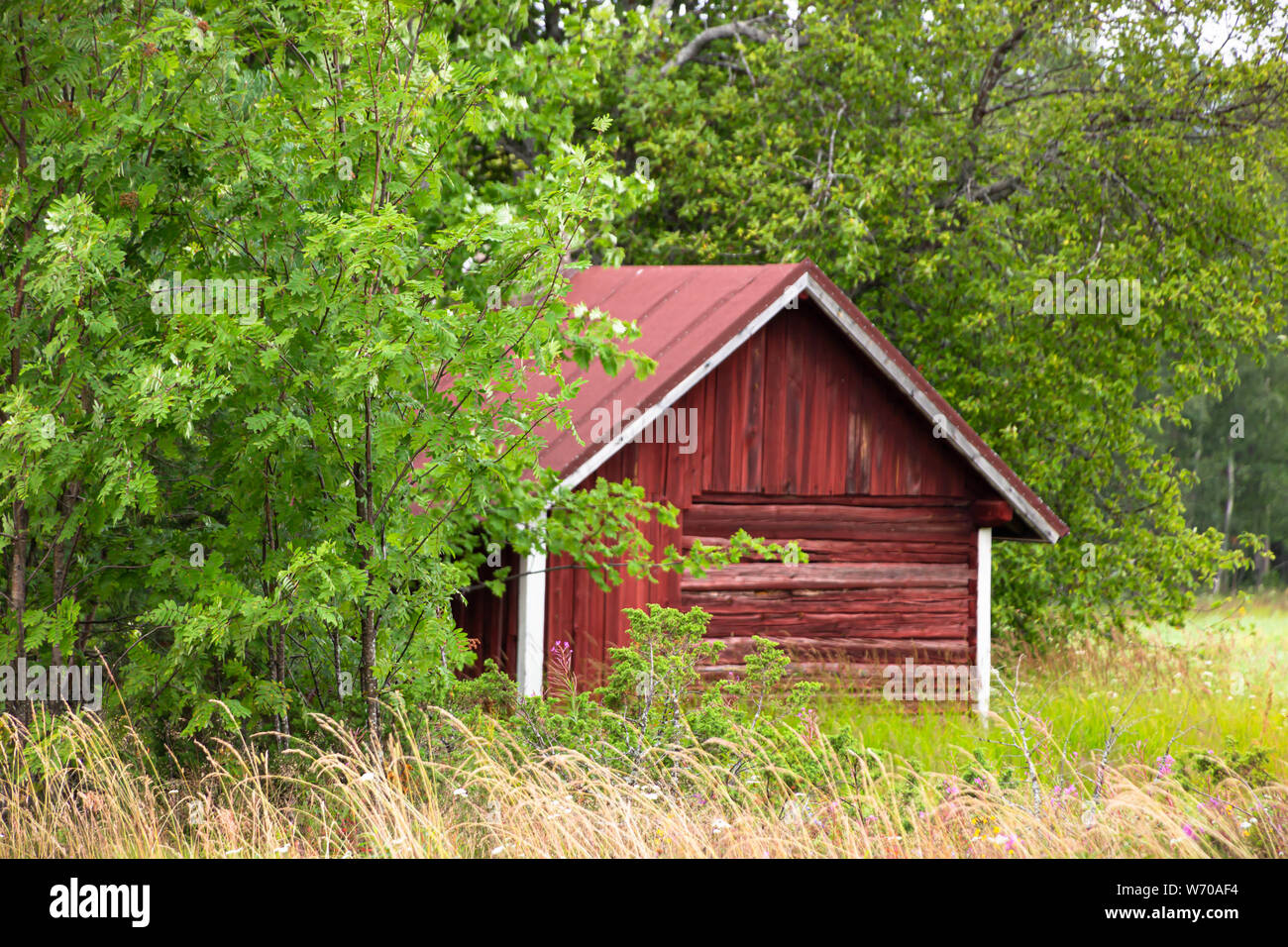 Vecchio cortile sauna, isola di Hailuoto,Nord Pohjanmaa, Finlandia Foto Stock