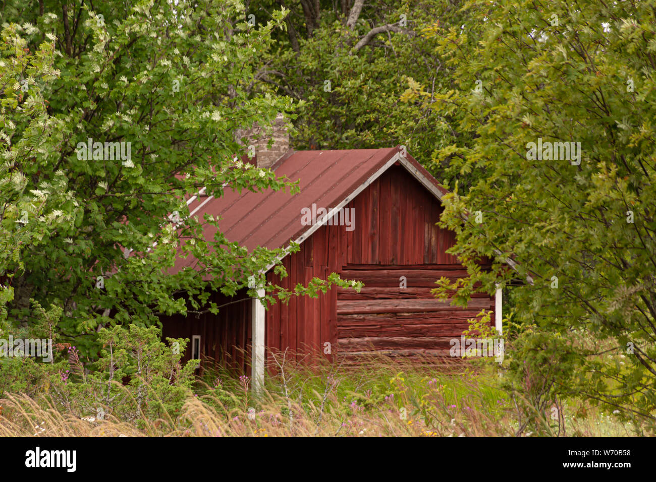 Vecchio cortile sauna, isola di Hailuoto,Nord Pohjanmaa, Finlandia Foto Stock