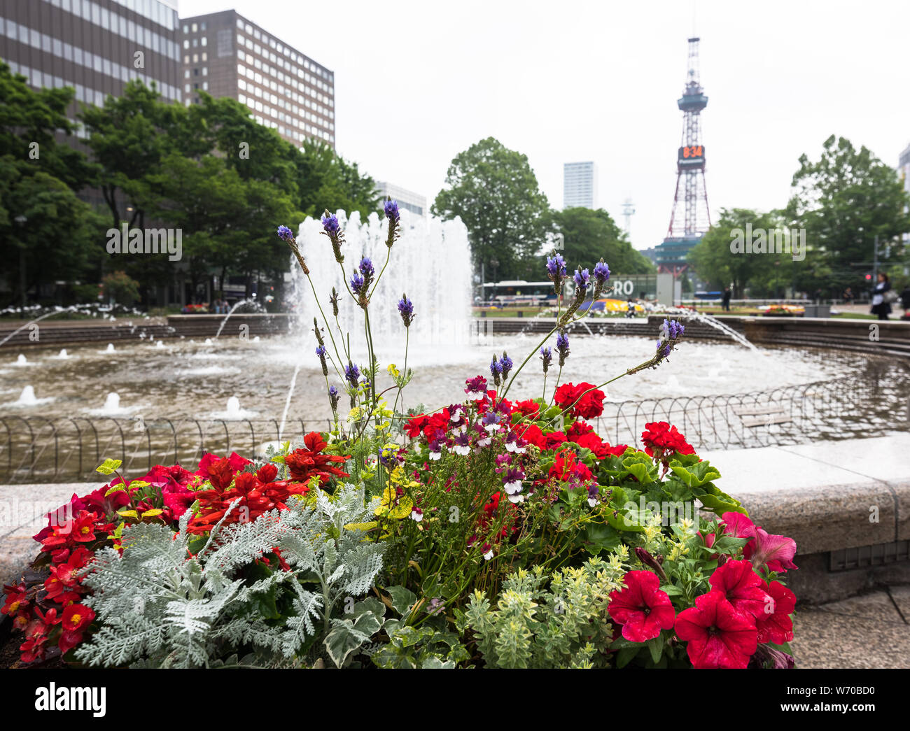 Il cesto fiorito nel parco Odori, Sapporo del Giappone Foto Stock