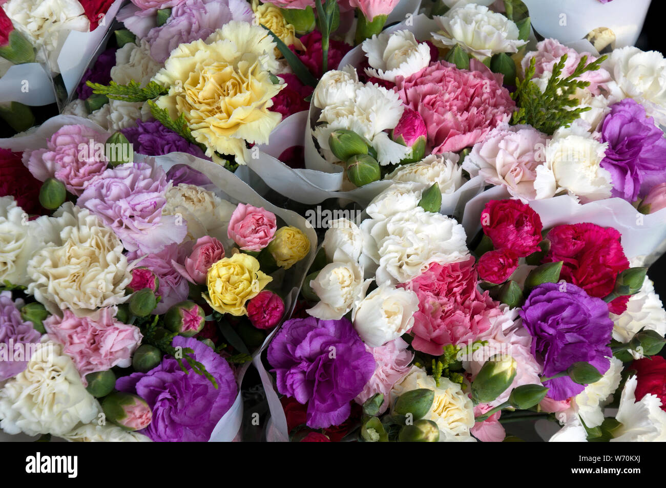 Sydney Australia, mazzi di fiori avvolto in carta per la vendita Foto Stock