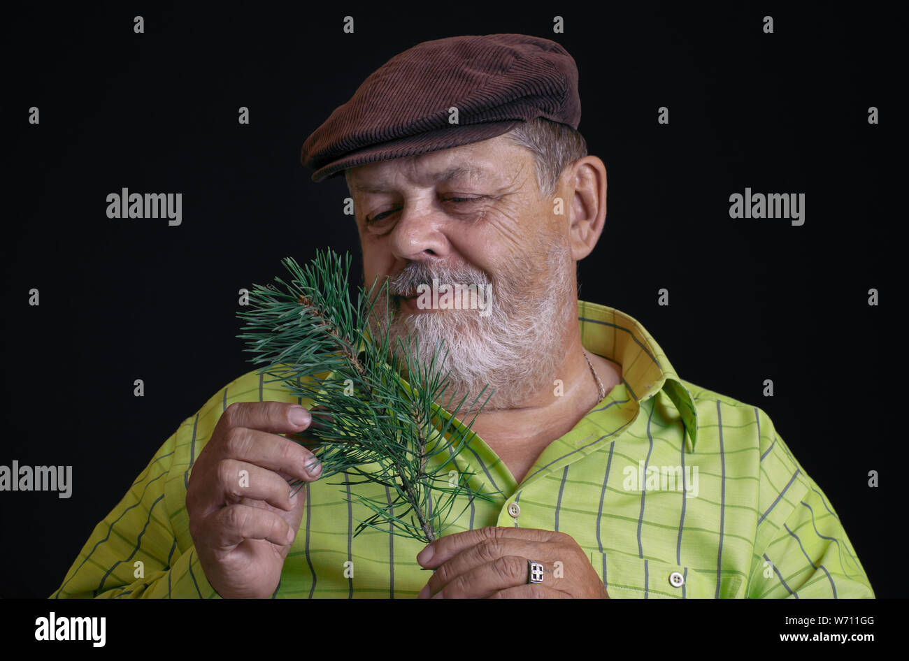 Nizza chiave di basso ritratto di una premurosa caucasica senior barbuto ammirando il ramo di pino Foto Stock