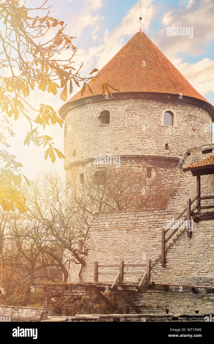 Vista sul muro di castello con torri nella città vecchia di Tallin, Estonia Foto Stock