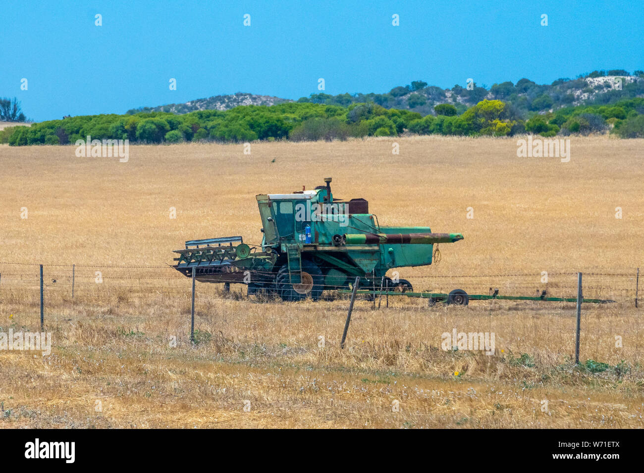 Vecchia trebbiatrice mietitrebbia parcheggiata sul granoturco secco campo nel Western Australia Foto Stock