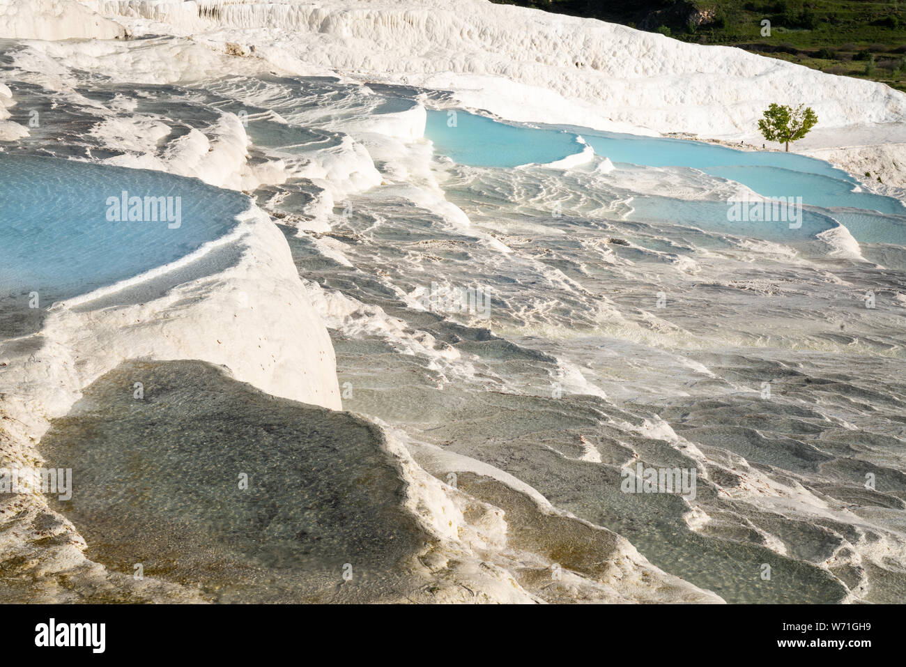 Pamukkale piscine naturali, Anatolia, Turchia Foto Stock