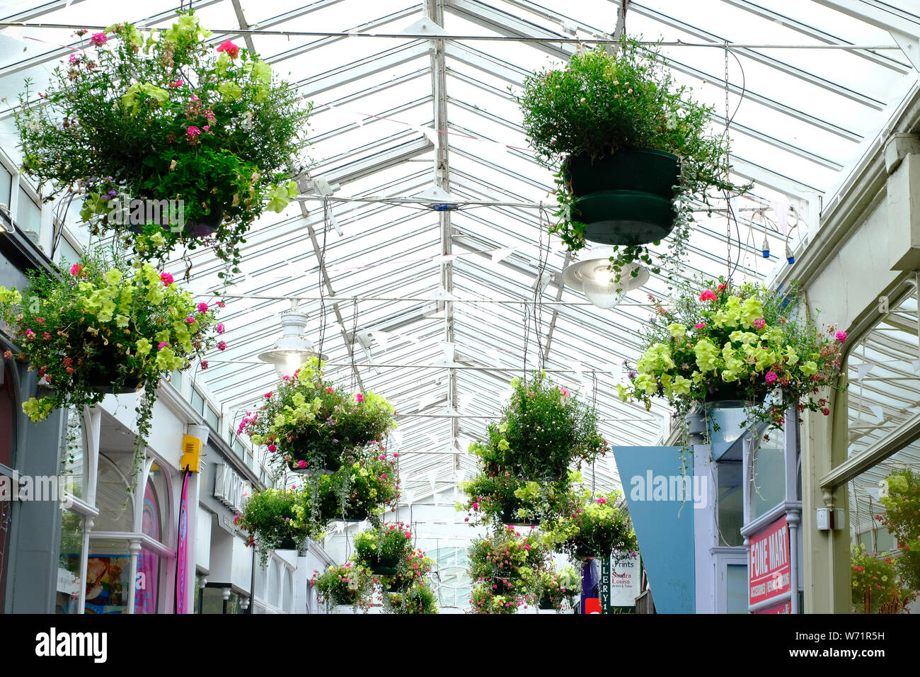 Nei cestini appesi appeso dal tetto di vetro in Arcade, Bognor Regis, West Sussex, Regno Unito Foto Stock