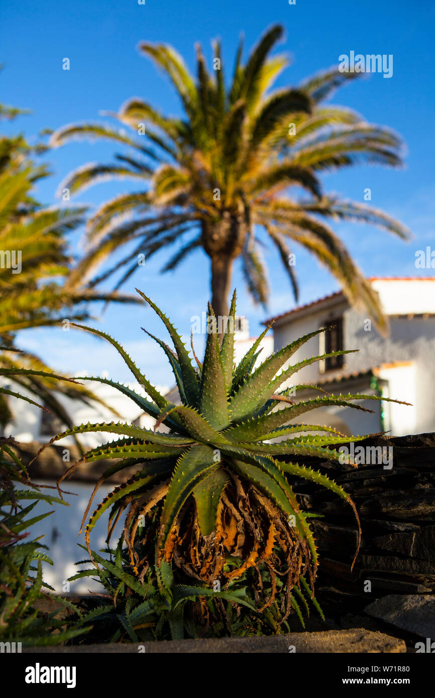 Cadaques, Catalogna Foto Stock