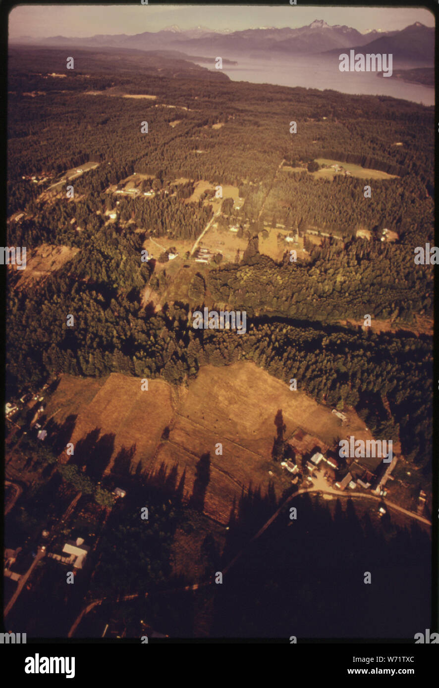 Vista aerea guardando verso sud-ovest in private di abete Douglas ri-terreni di crescita tra BANGOR ALLEGATO E SILVERDALE. Questa zona e altri simili saranno colpiti dalla crescita della popolazione QUANDO LA MARINA MILITARE DEL SOMMERGIBILE TRIDENT BASE è costruita nelle vicinanze. Una nuova città è proposto di alloggiare una porzione sostanziale delle proiezioni 27.000 persone che si sposta nell'area quando l'installazione navale è costruito Foto Stock