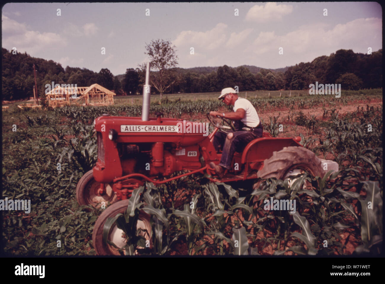 AL REINSHAGEN, insegnante di matematica PRESSO IL WHITE COUNTY HIGH SCHOOL DI CLEVELAND, GEORGIA, fattorie DI UN ACRI nella vicina HELEN perché amo l'agricoltura. I bordi di terra GEORGIA Autostrada 17/75 sul bordo occidentale della città limiti delle piccole comunità di montagna di alcuni 270 residenti. La trama appartiene a COMER VANDIVER DI HELEN CHE REINSHAGEN consente di utilizzare la terra libera piuttosto che lasciarlo andare inutilizzati. HELEN è nei pressi di ROBERTSTOWN. Il nuovo edificio in background sarà un maneggio Foto Stock