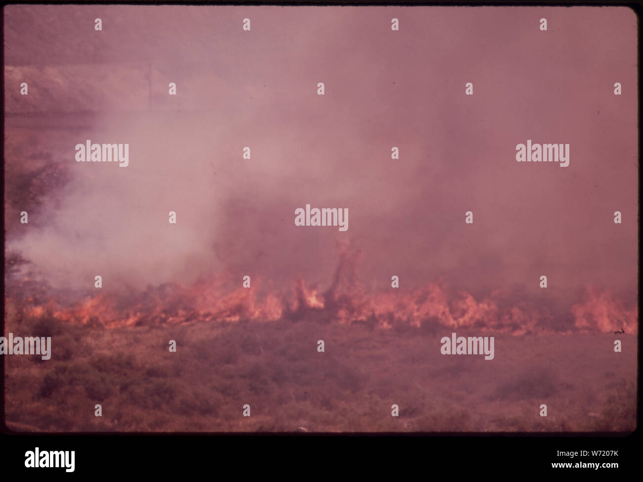 Spazzola incendio lungo il percorso ho-80 Foto Stock