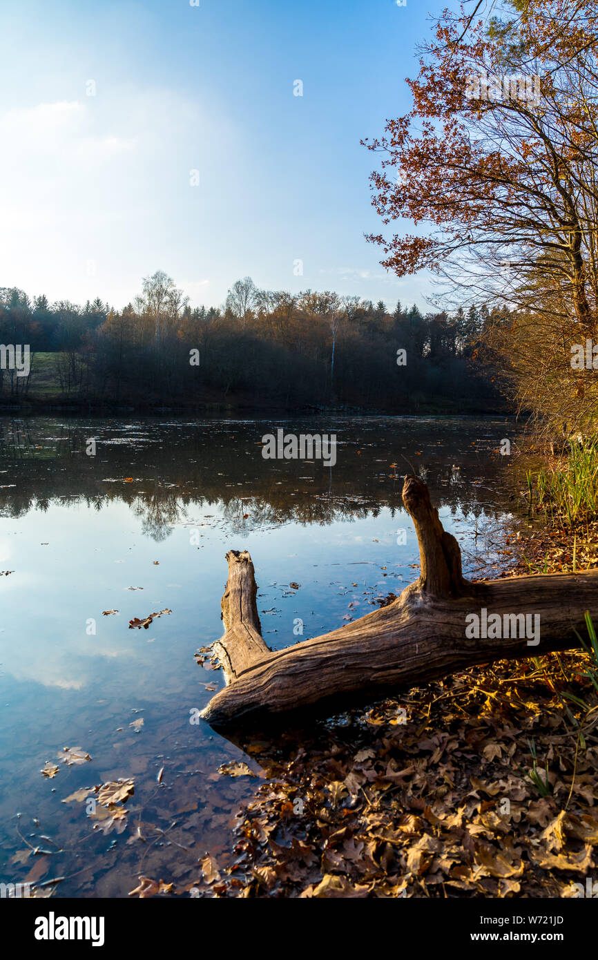 Bella stagione autunnale a Stoccarda baerensee park Foto Stock