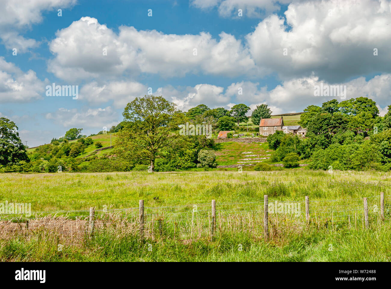 Fattoria con cottage a North York Moors o North Yorkshire Moors in North Yorkshire, Inghilterra Foto Stock