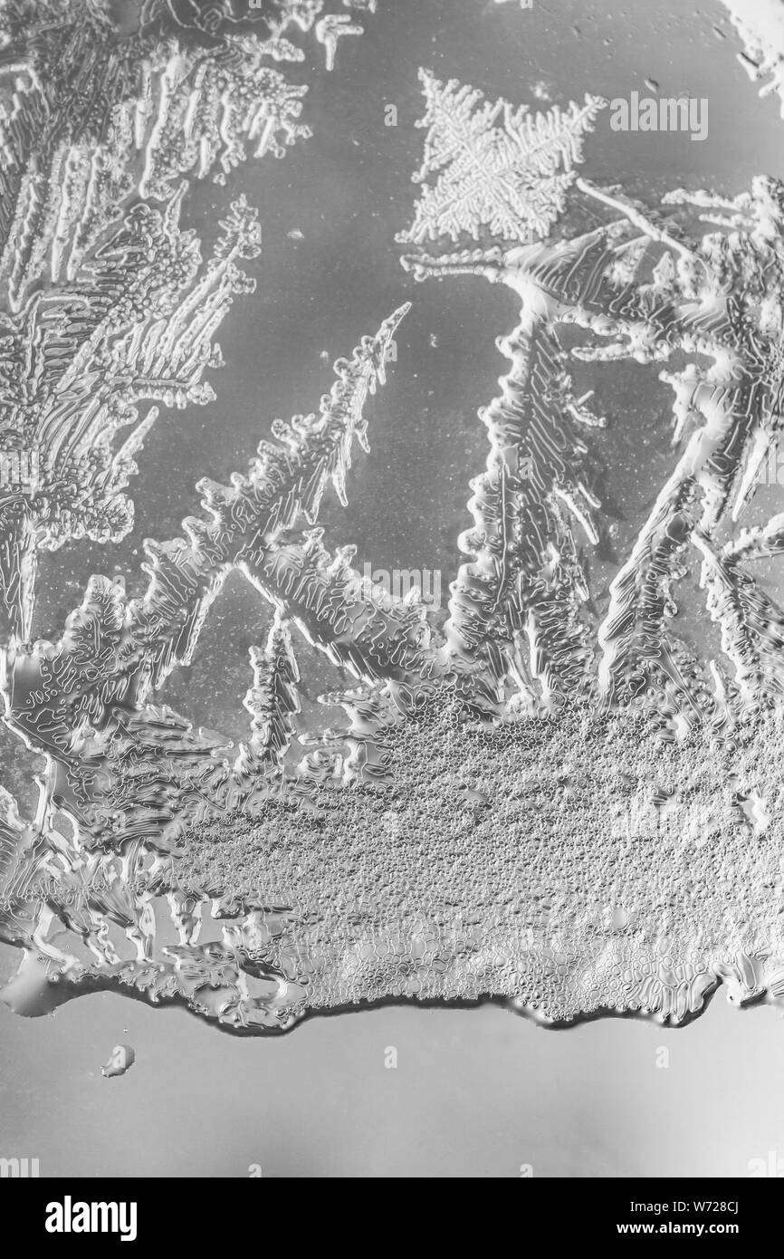 Frosty modello in un inverno di vetro. Foto Stock