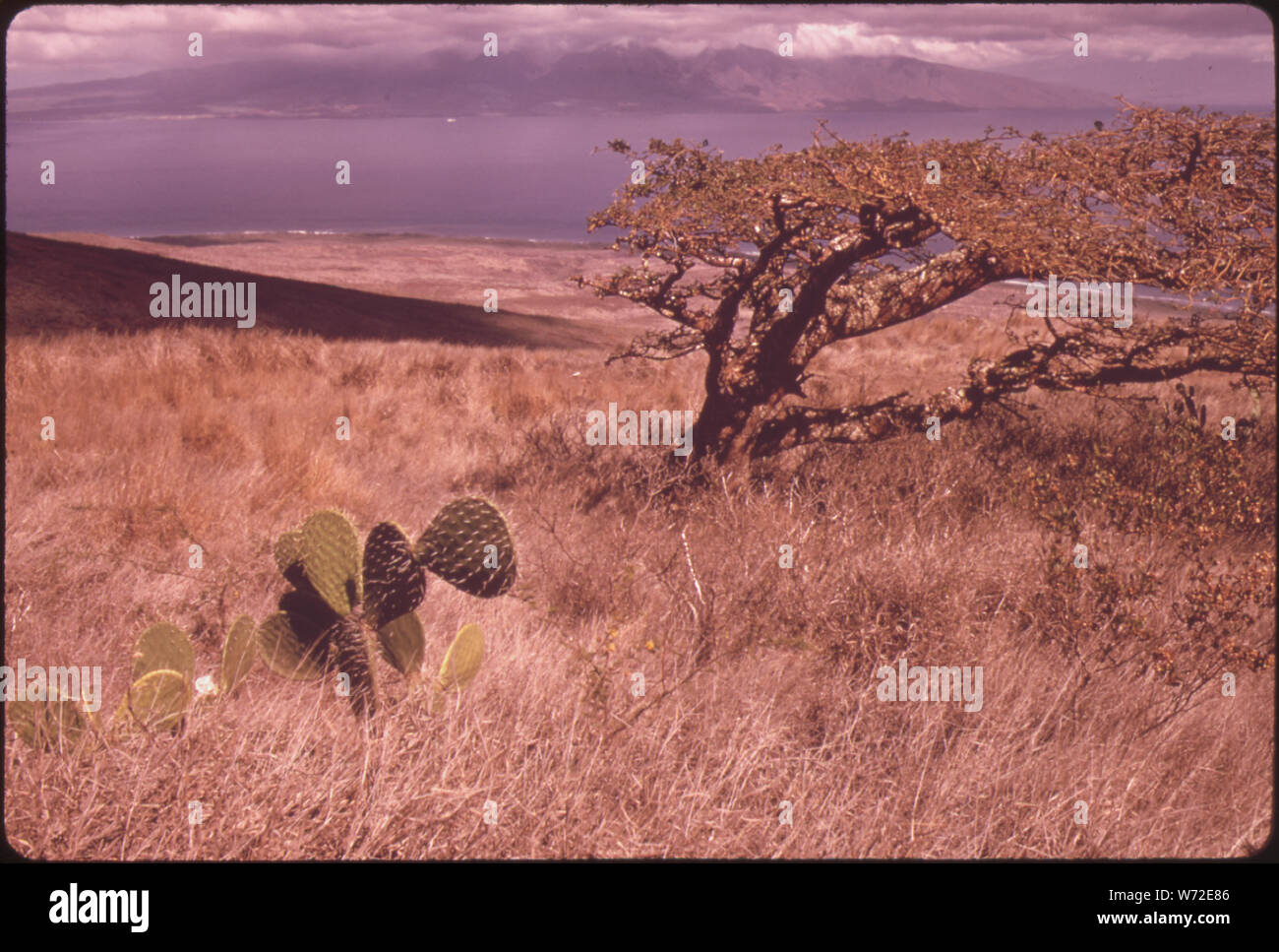 Nel maggio 1973, IN UNA DECISIONE CONTROVERSA ORA NEI TRIBUNALI, utilizzare la terra commissione hanno convenuto di riclassificare 22,340 acri dell'isola di Lanai per uso urbano. La Terra sul lato orientale (mostrato qui) è troppo secca per innescare l'agricoltura. Gran parte della proposta di espansione (CASE ALLOGGI TURISTICI) SAREBBE IN QUESTA ZONA. IN BACKGROUND è isola di Maui. Foto Stock