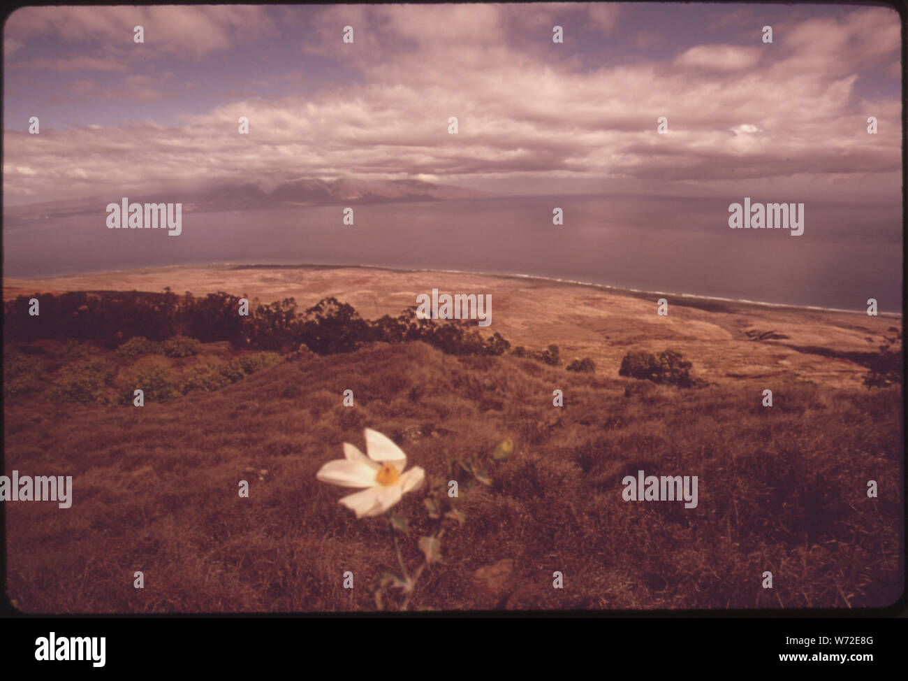 Nel maggio 1973, IN UNA DECISIONE CONTROVERSA ORA NEI TRIBUNALI, utilizzare la terra commissione hanno convenuto di riclassificare 22,340 acri dell'isola di Lanai per uso urbano. La Terra sul lato orientale (mostrato qui) è troppo secca per innescare l'agricoltura. Gran parte della proposta di espansione (CASE ALLOGGI TURISTICI) SAREBBE IN QUESTA ZONA. IN BACKGROUND è isola di Maui. Foto Stock