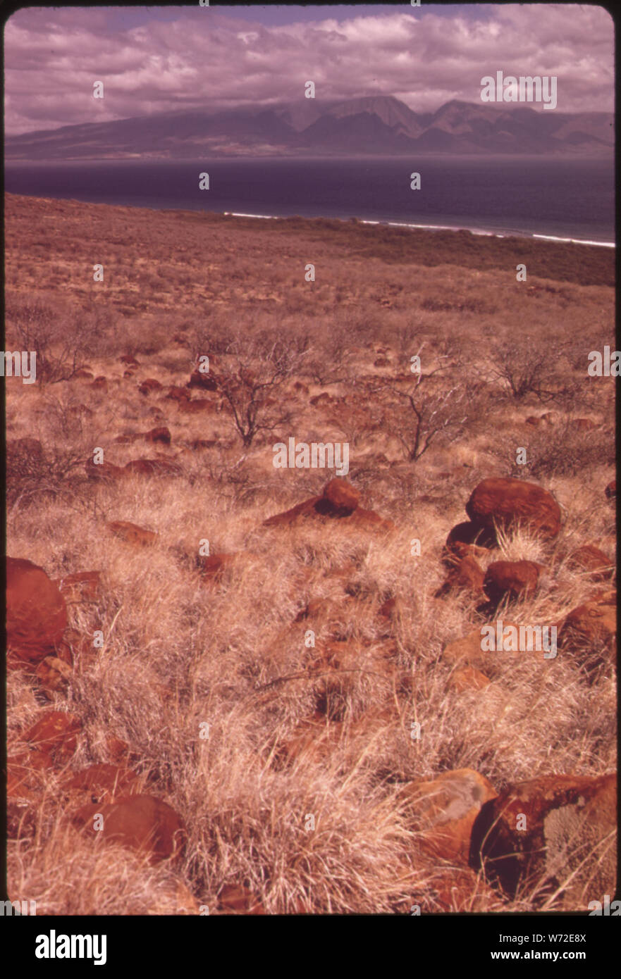 Nel maggio 1973, IN UNA DECISIONE CONTROVERSA ORA NEI TRIBUNALI, utilizzare la terra commissione hanno convenuto di riclassificare 22,340 acri dell'isola di Lanai per uso urbano. La Terra sul lato orientale (mostrato qui) è troppo secca per innescare l'agricoltura. Gran parte della proposta di espansione (CASE ALLOGGI TURISTICI) SAREBBE IN QUESTA ZONA. IN BACKGROUND è isola di Maui. Foto Stock