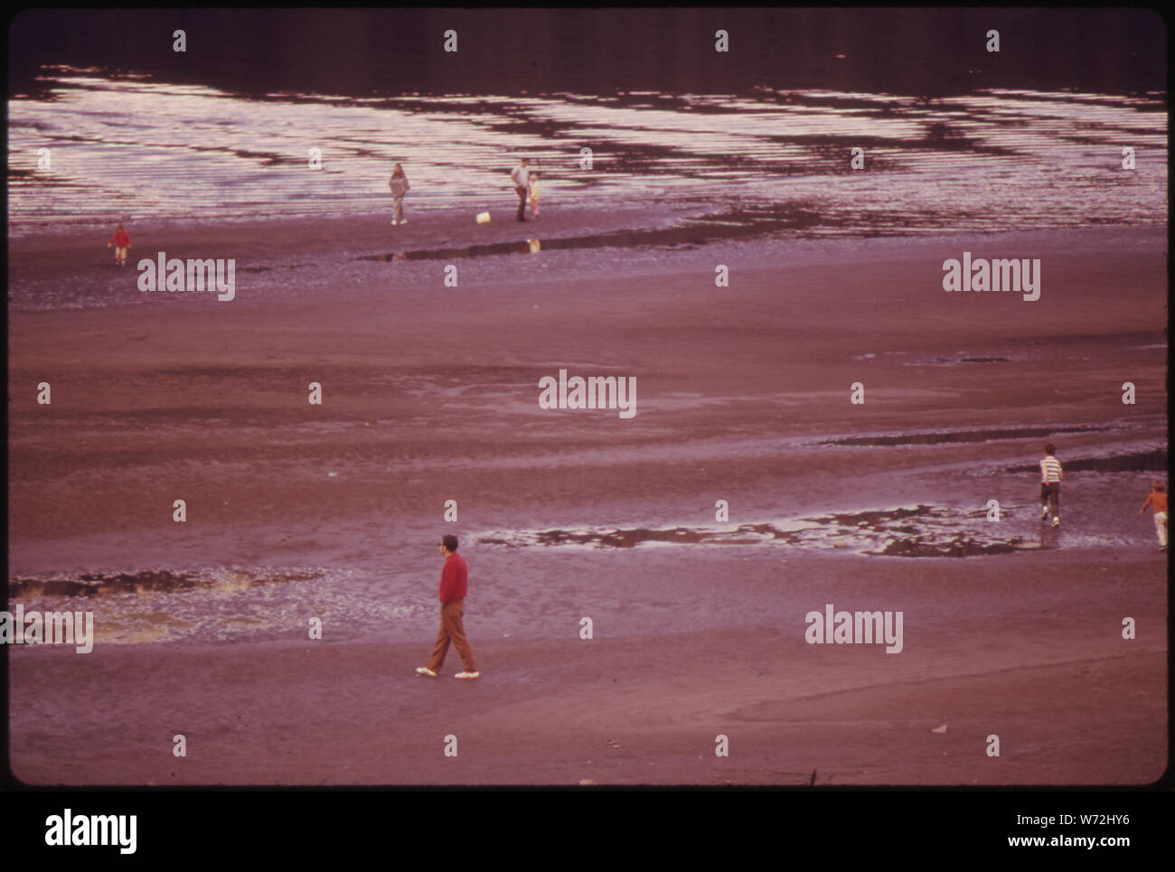 Flusso PIÙ BASSO SUL RECORD PER IL COLUMBIA RIVER IN AUTUNNO DEL 1973 ERA IL RISULTATO DI BASSA la precipitazione l'anno precedente. Spiaggia di mai visto prima è stato scoperto per più di tre mesi alla Rooster Rock State Park a est di Portland Foto Stock