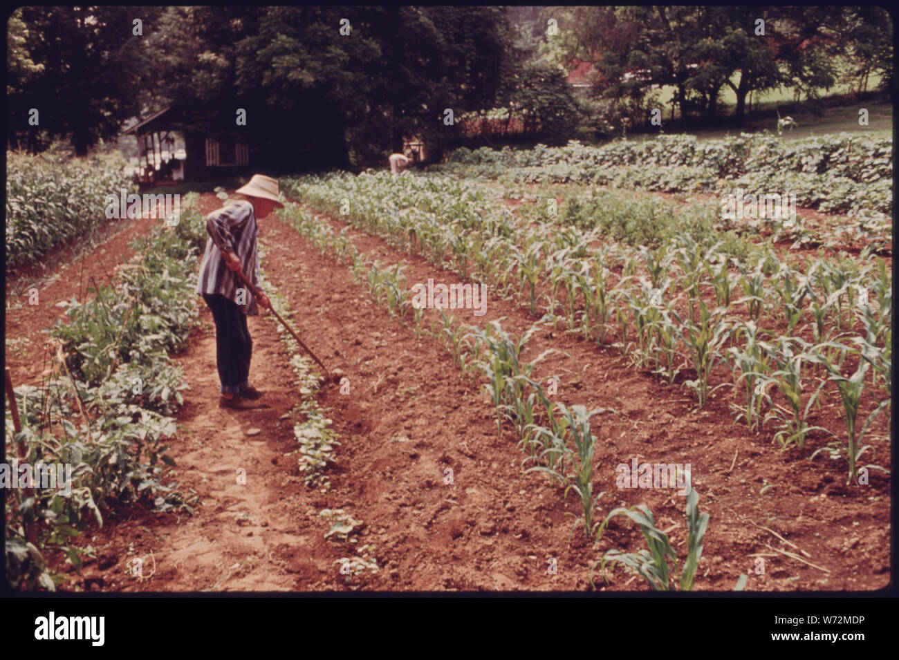 MRS. C.N. MALOOF OPERE IN ORTO DI FRONTE LA SUA STRADA PRINCIPALE HOME IN HELEN, GEORGIA, nei pressi di ROBERTSTOWN. Suo marito era una delle città più grandi della proprietà commerciale di proprietari e una convinta sostenitrice della bavarese tema alpina PER LA COMUNITÀ DEL QUARTIERE DEGLI AFFARI DI sin dalla sua creazione nel dicembre 1968 quando morì nel 1972 MRS. MALOOF bloccato il suo ufficio e che è rimasta intatta all'estremità orientale di Helen la strada principale fin dal Foto Stock