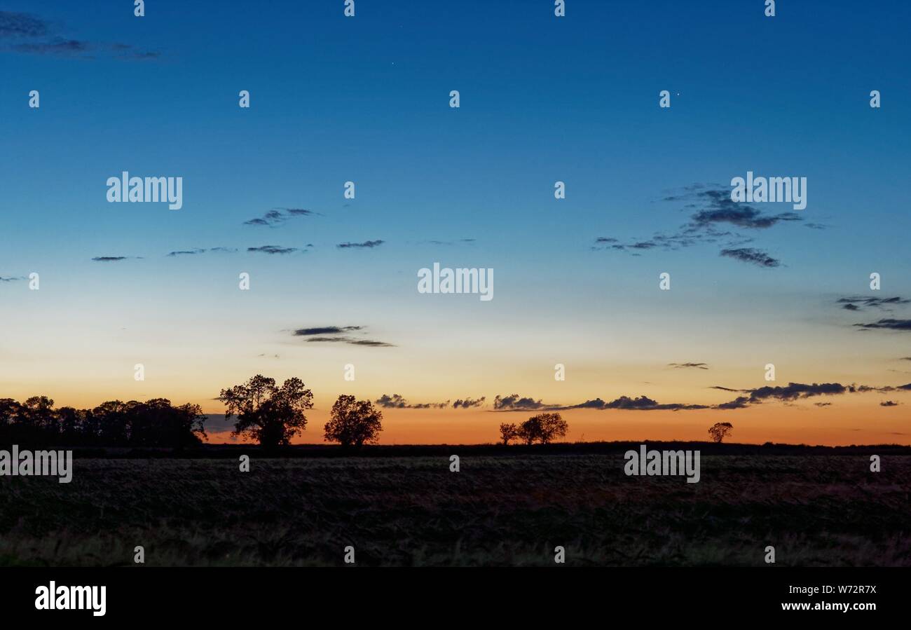 I resti di un tramonto spettacolare su una chiara notte di primavera al crepuscolo con stelle che mostra su un campo di orzo e di alberi in lontananza Foto Stock
