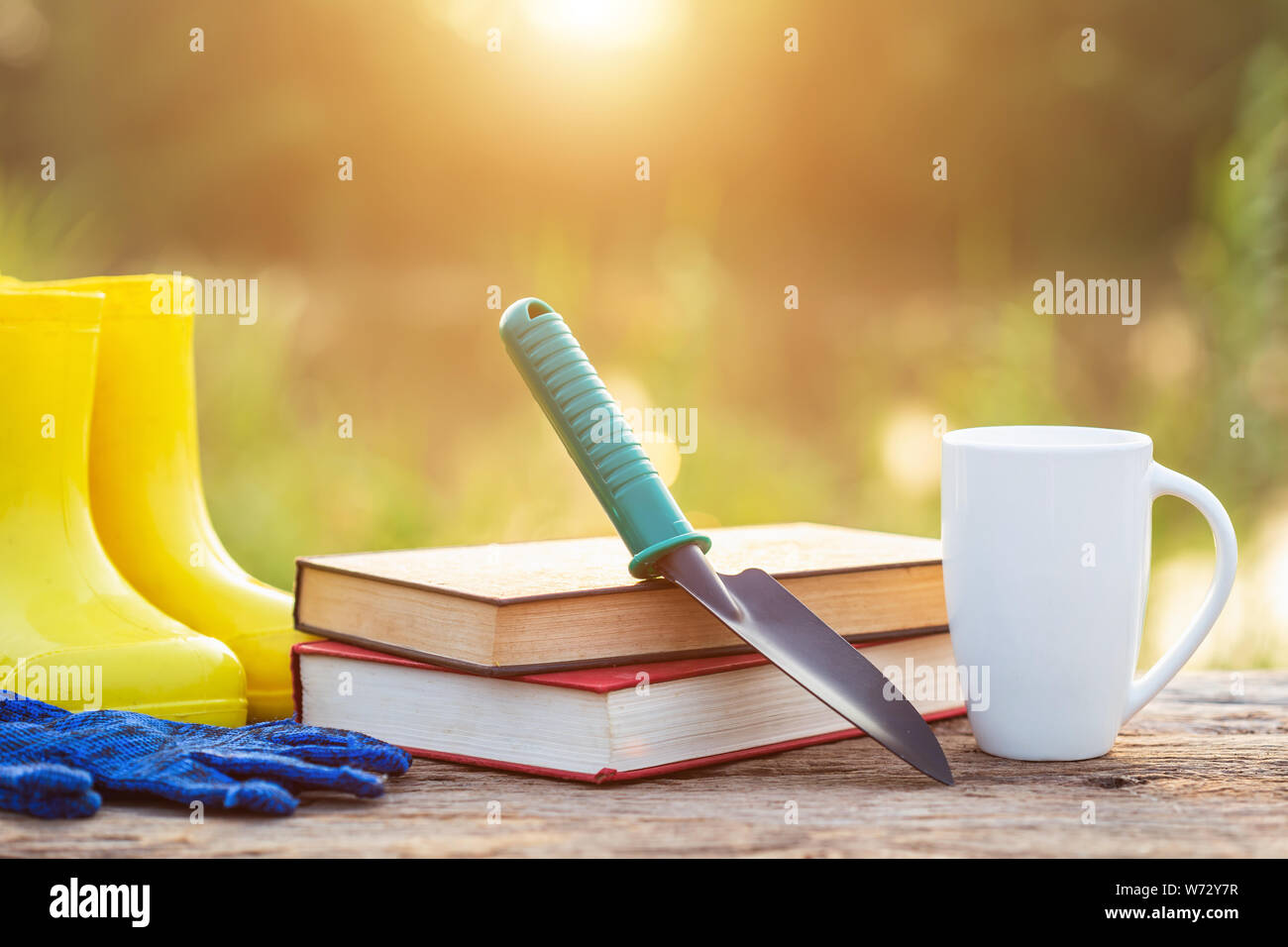 Il caffè e il concetto di giardinaggio : tazza di caffè, libri e attrezzature da giardino sul tavolo di legno con la luce del sole di mattina tempo Foto Stock