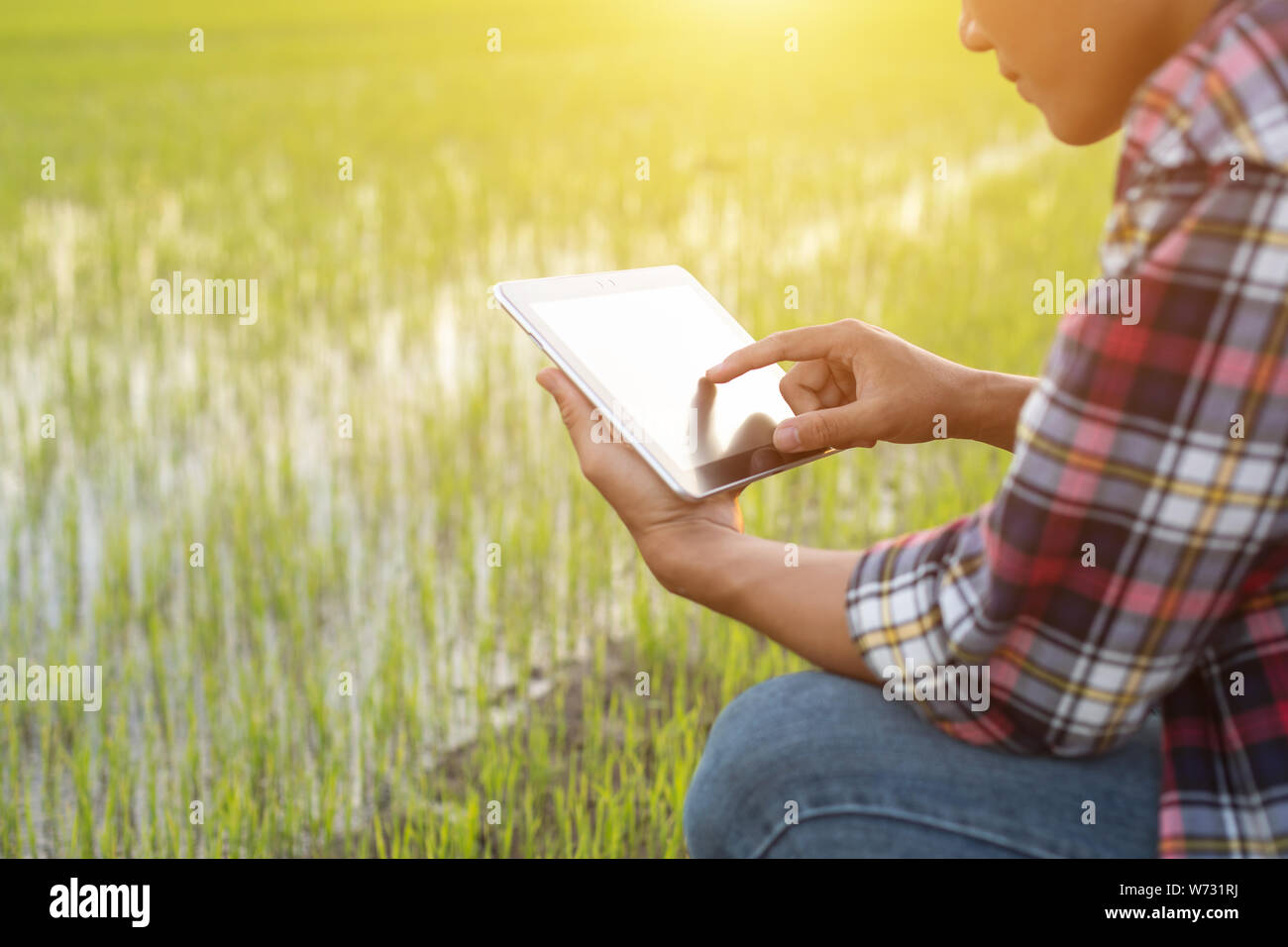 Asian giovane agricoltore utilizzando tablet al green campo di riso. Utilizzare la tecnologia nel concetto di fattoria Foto Stock