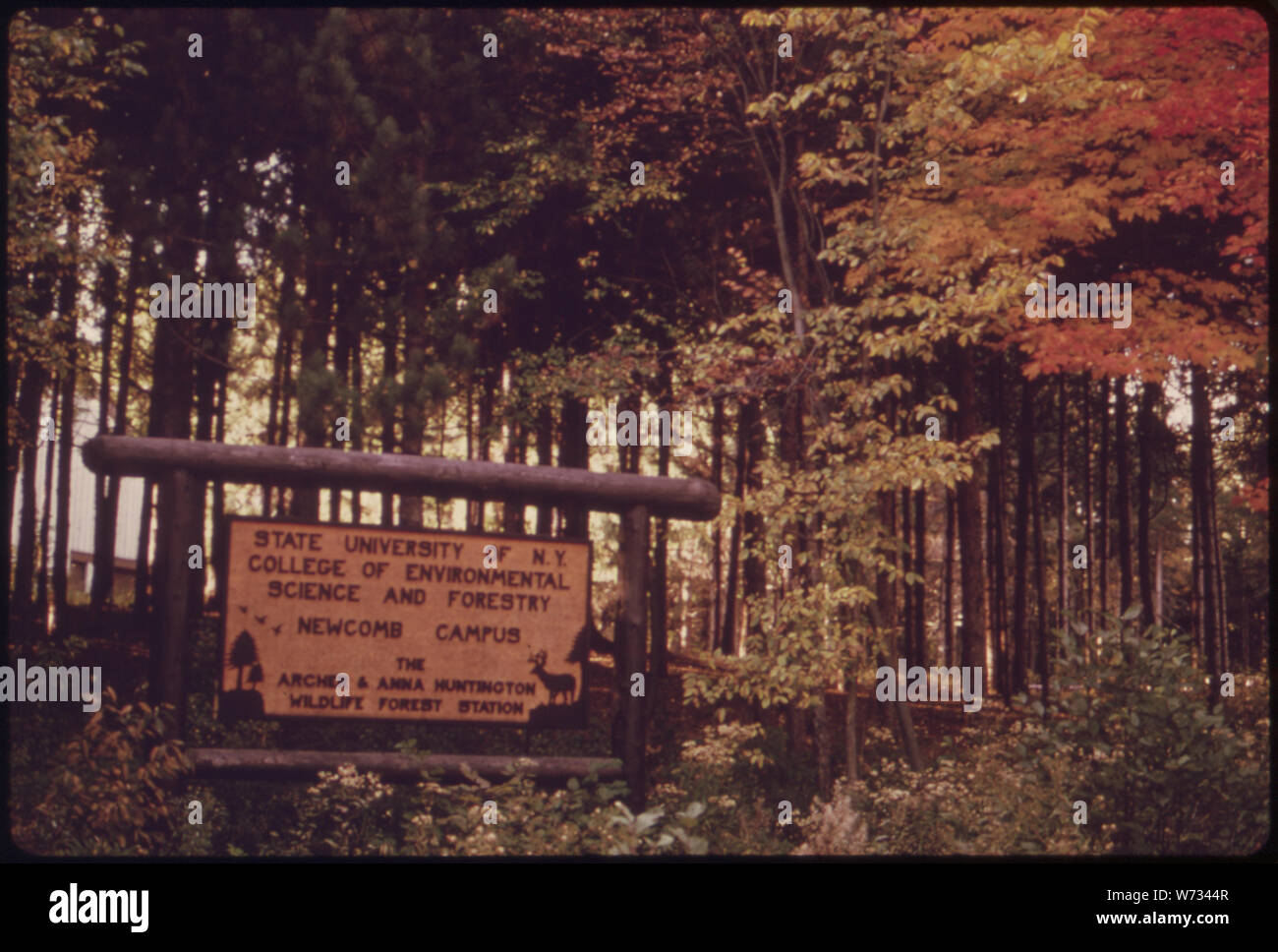 Cartello d'ingresso alla State University of New York College di scienze ambientali e forestali nel ADIRONDACK Forest Preserve Foto Stock