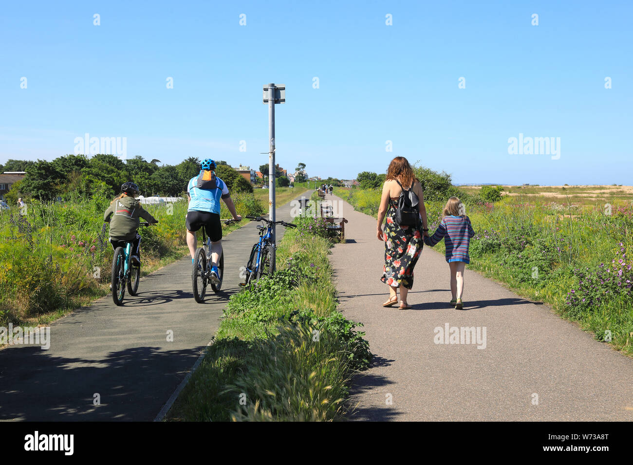 Parte del 160 miglio Saxon Shore Way, un sentiero e il modo ciclo, andare qui passato Walmer verso la trattativa in East Kent, Regno Unito Foto Stock