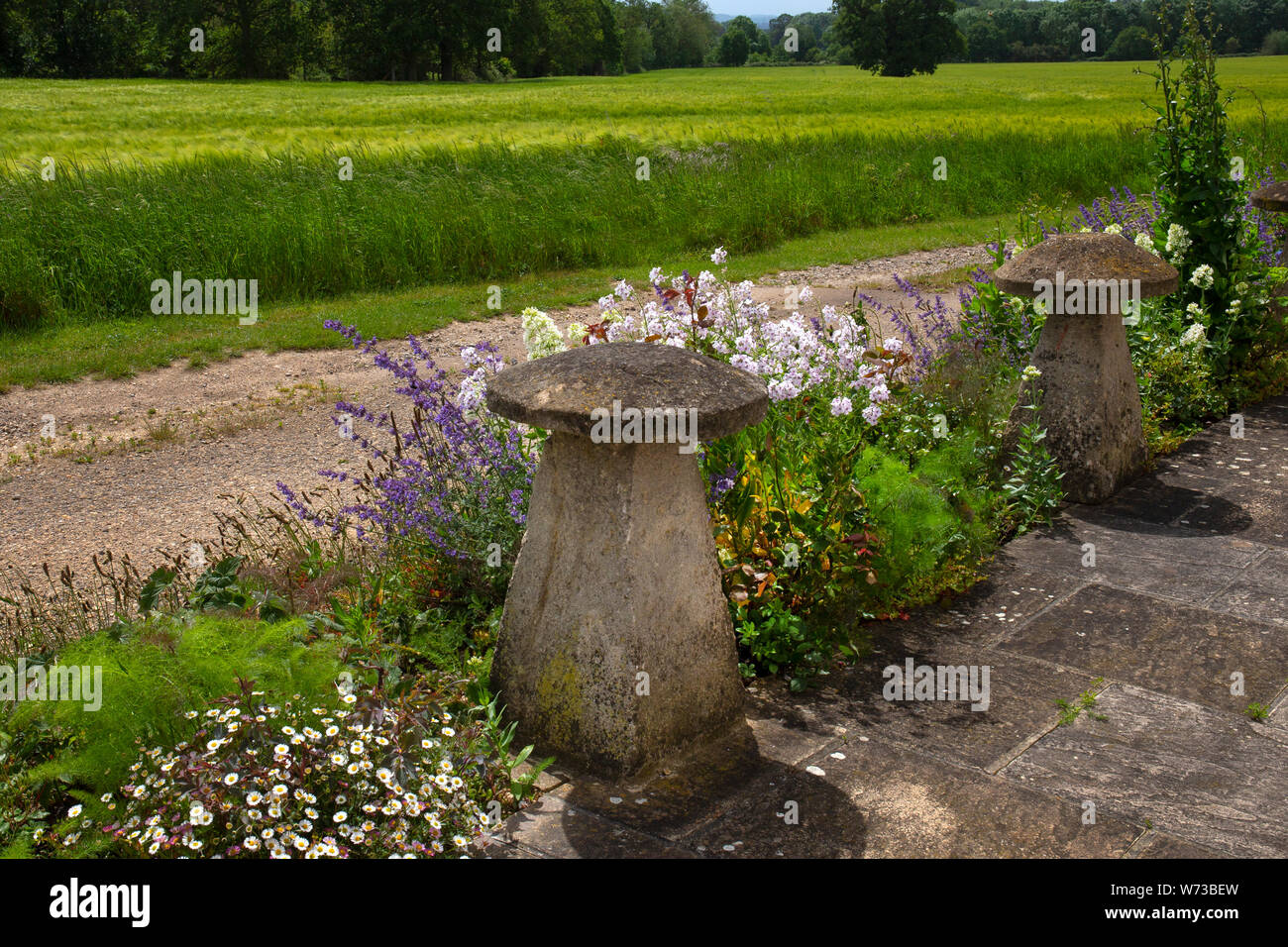 Staddle pietre e piantato di confine e patio nel giardino inglese, Inghilterra Foto Stock