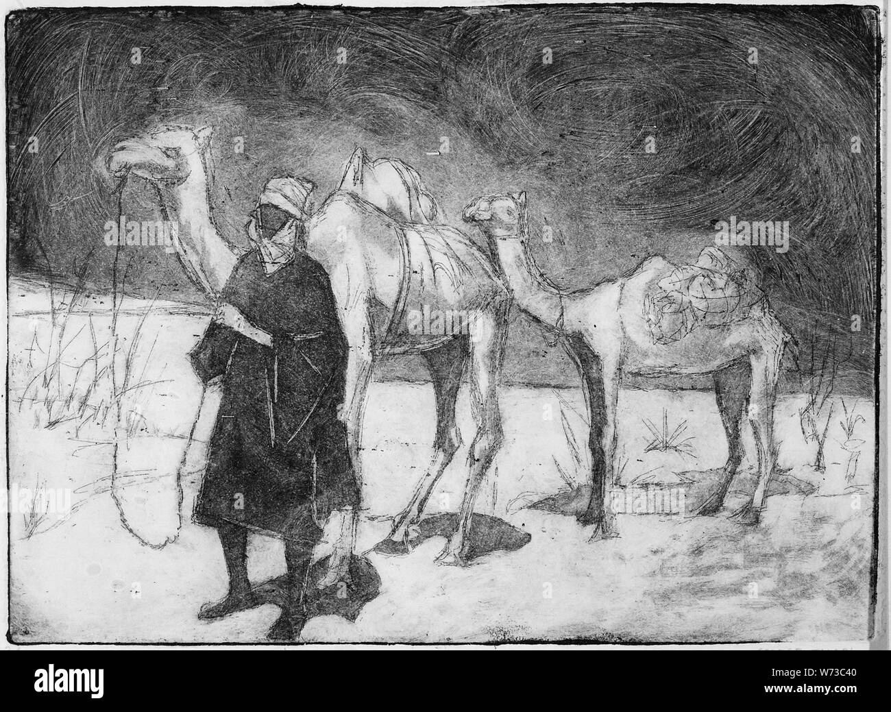 I trasporti nel Sahara; note generali : incisione Foto Stock