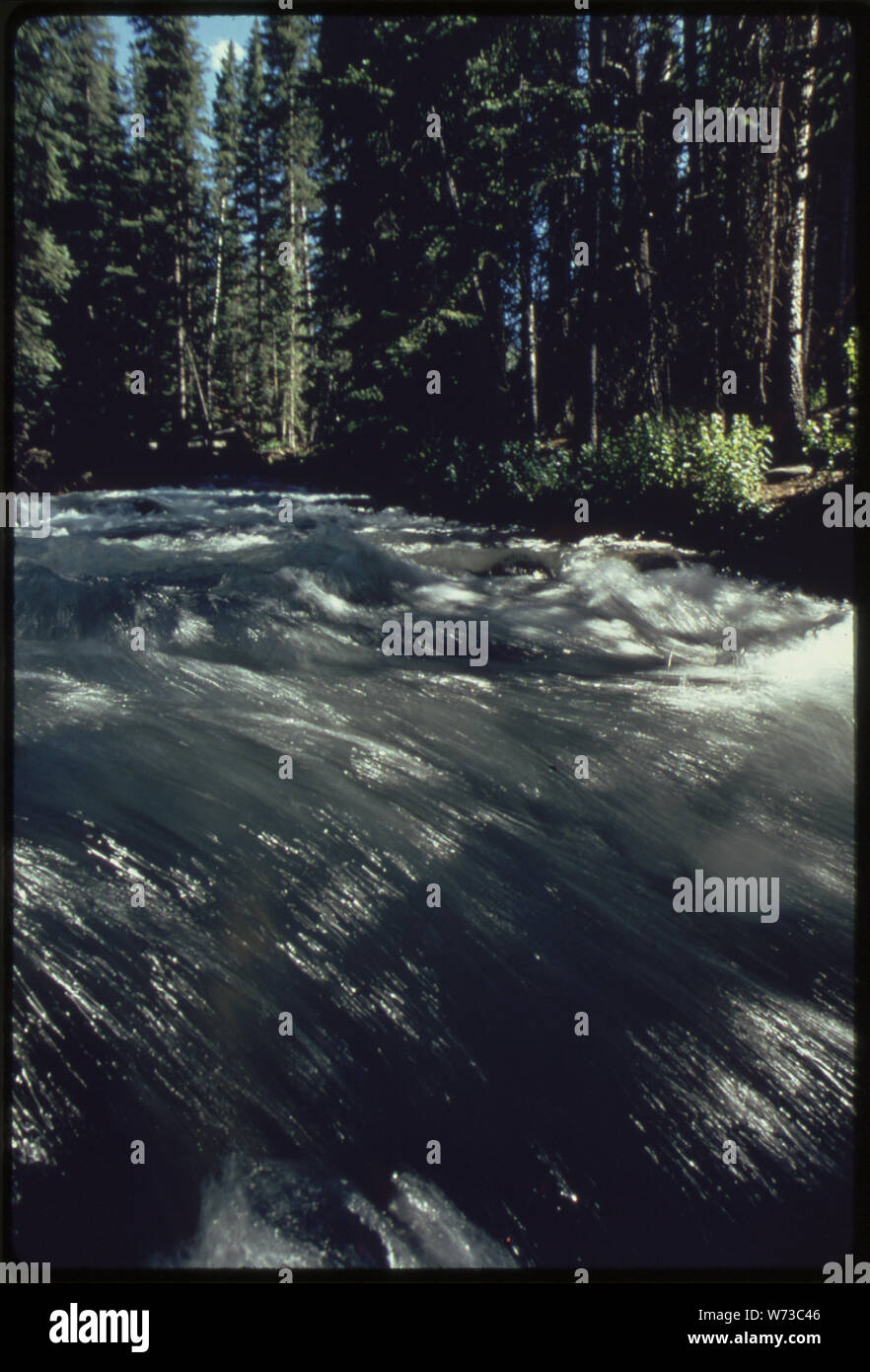 UNCOMPAHGRE National Forest, (DAI SITI mostra. Per altre immagini di questa assegnazione, vedere Scheda numeri 40, 41, 42). Foto Stock