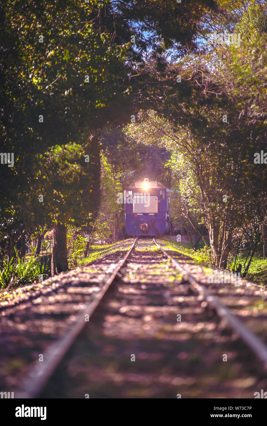 Curitiba, Parana, Brasile - Agosto 08, 2019: Treno in Hugo Lange quartiere di Curitiba, ora locale 02:23 PM. Foto Stock