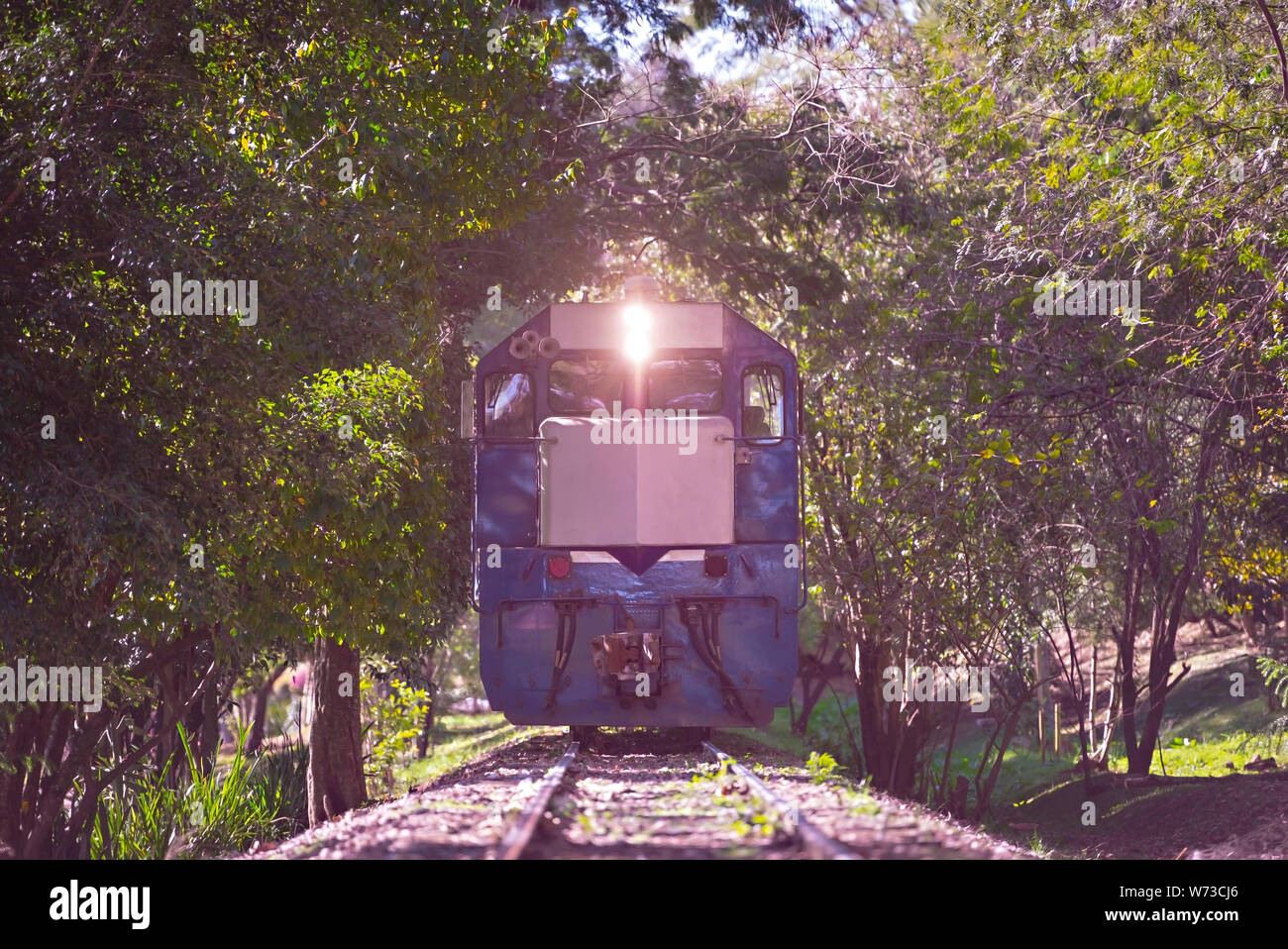 Curitiba, Parana, Brasile - Agosto 08, 2019: Treno in Hugo Lange quartiere di Curitiba, ora locale 02:24 PM. Foto Stock