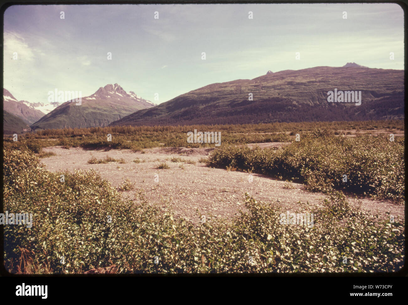 Vista Est attraverso la molla canali alluvione del fiume LOWE queste barre di ghiaia, secco durante i mesi estivi, diventano riempito con limoso acqua grigia durante la primavera la fusione o rottura, come viene chiamato in Alaska. Il gasdotto verso ovest lungo le pendici della collina si vede nella parte superiore destra dell'immagine. Miglio 770-773, Alaska via pipeline Foto Stock