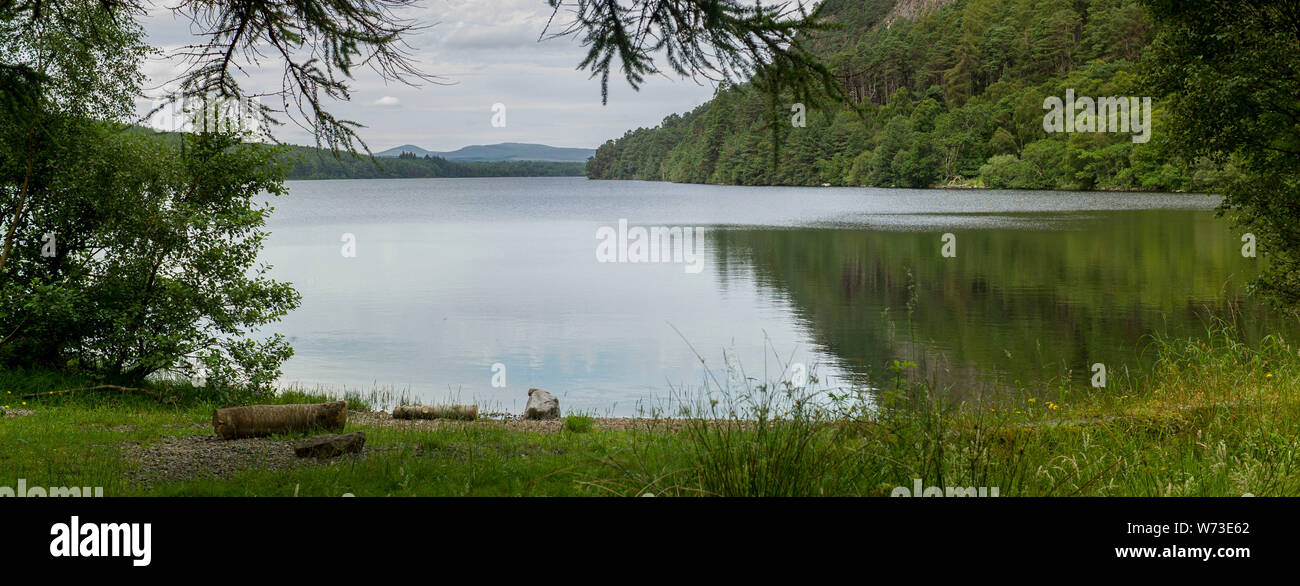 Loch Migdale, Highlands scozzesi, un bosco Trust Reserve. Foto Stock