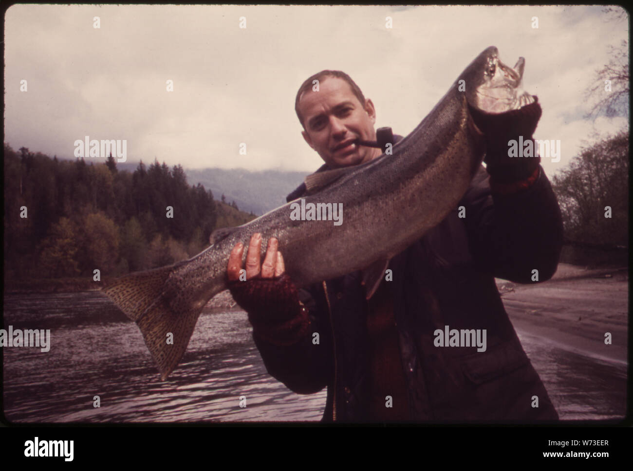 Inverno STEELHEAD pesca alla trota sul fiume SKAGIT. Ogni anno circa 250.000 Pesci sportivi per le trote. STEELHEAD MEDIA 6-8 libbre, può raggiungere un peso di oltre trenta libbre. Essi sono anadrome, in cerca di acqua salata, tornando poi alla loro nativa fiume per deporre le uova. DON DUDLEY, di Bellevue, Washington., con una 19! POUND STEELHEAD Foto Stock