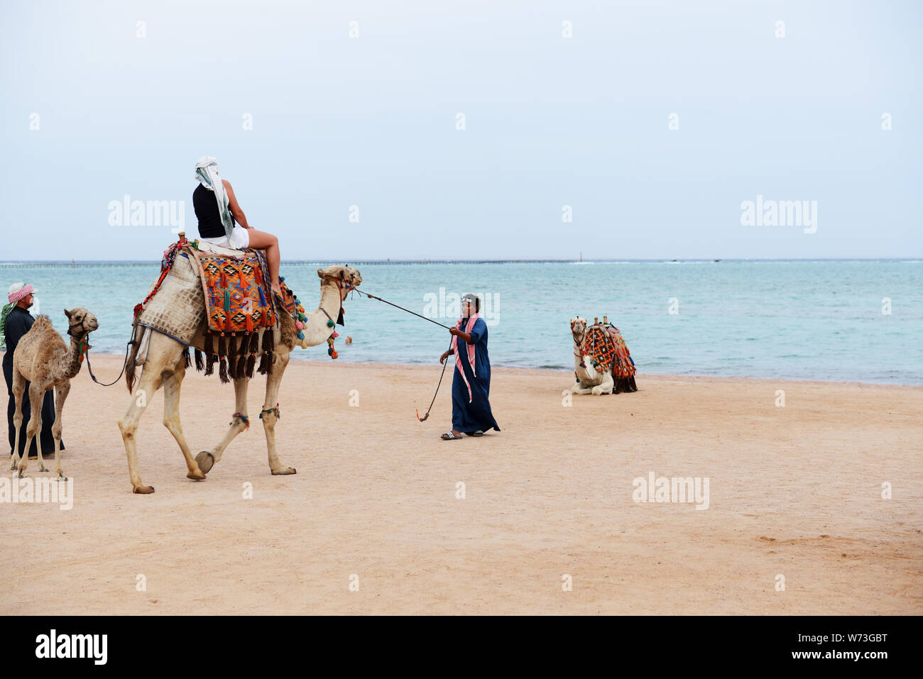 SHARM EL SHEIKH, Egitto - 29 novembre: le gite turistiche cammello sulla spiaggia con aiuto di uomo egiziano nel novembre 29, 2013 a Sharm el Sheikh, Egitto. Fino t Foto Stock